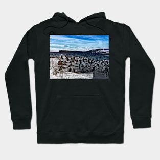 Yuletide Greetings From Fetlar Hoodie